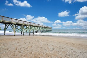 Beach - The Traveler's Cove - Walking Distance to Downtown Wilmington! (Wilmington)