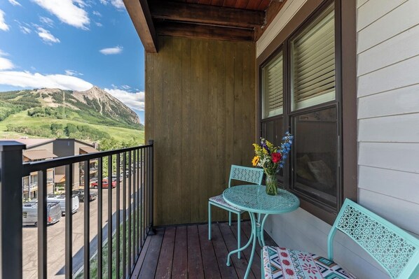 Outdoor dining - West Elk Warming House: Hot Tub, Dog Considered (Crested Butte)