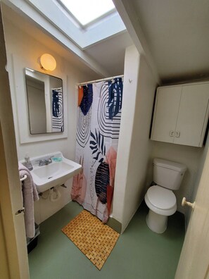 Shower, hair dryer, towels, soap - Historic Tucson Desert Cozy Stone 1BR Apartment (Tucson)