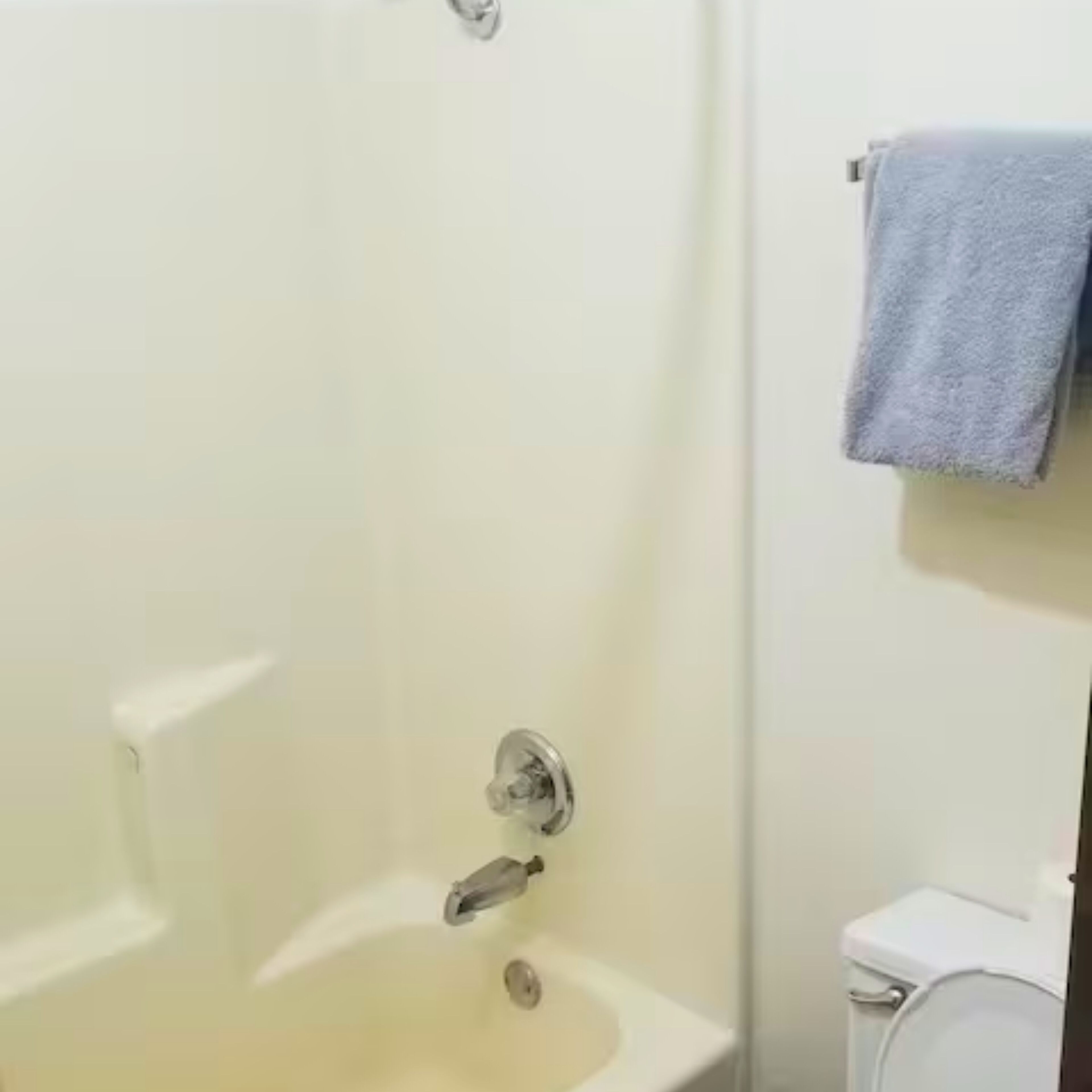 Hair dryer, towels, soap, toilet paper