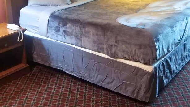 A hotel room with a bed, a nightstand, a lamp, and a patterned carpet. - OSU 223 Queen Bed Hotel Room (Stillwater)