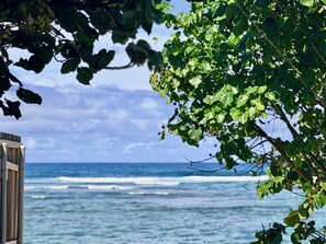 Beach nearby - Hibiscus Hale - Perfect for 2! (Waialua)