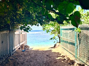 Botón de imagen sin clasificar, 4 de 20