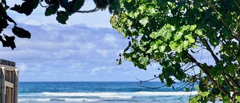 Playa en los alrededores