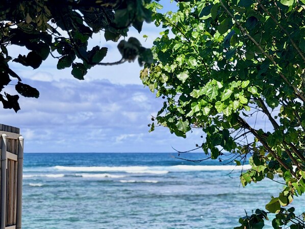 Playa en los alrededores 