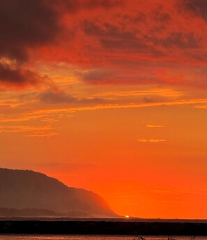 Unclassified image, 2 of 20, button