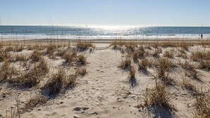 Een zandpad langs het strand dat naar de oceaan leidt, met weinig begroeiing.