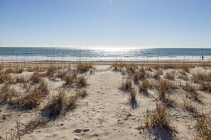 Ein sandiger Pfad am Strand, der zum Meer führt, mit vereinzelter Vegetation.