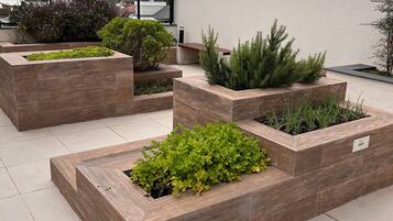 Apartment | Terrace/patio