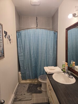 Hair dryer, towels, toilet paper - Nature view retreat (Gatineau)