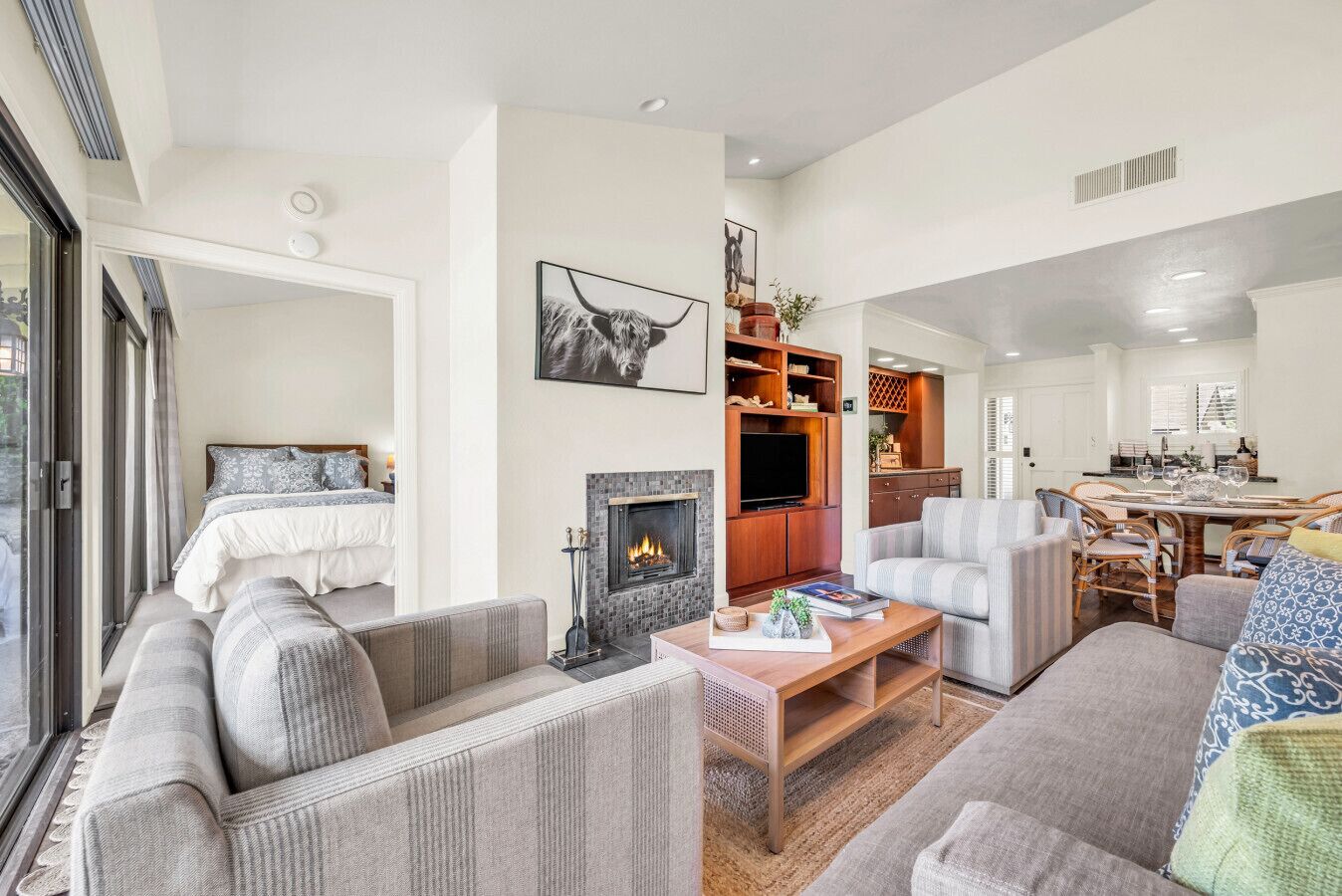 TV, fireplace