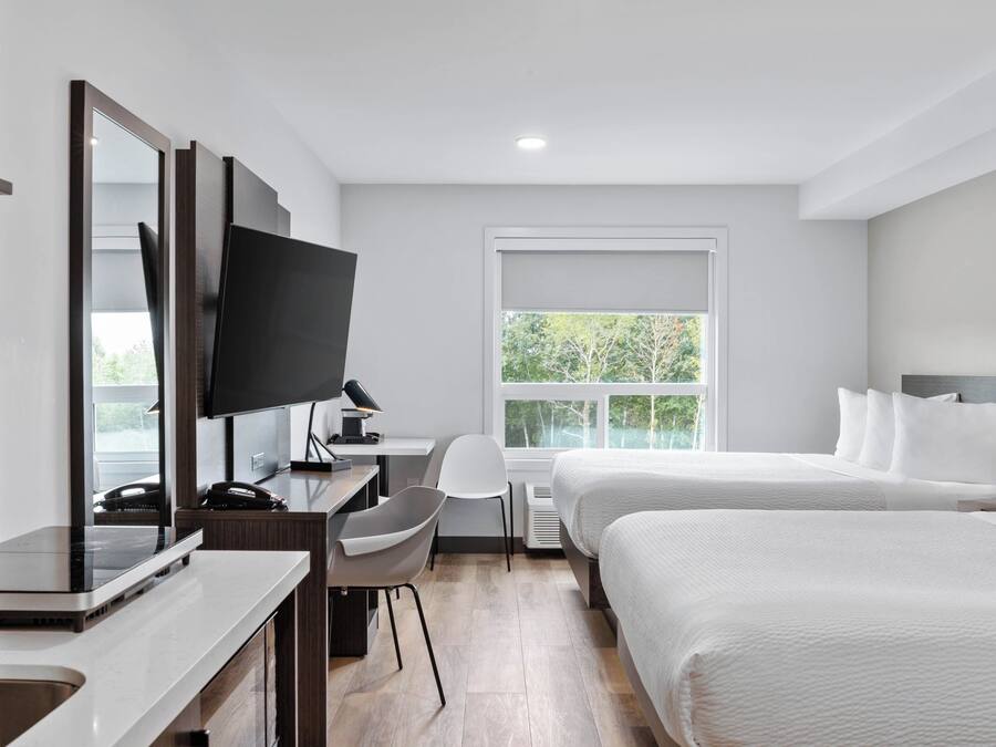 A hotel room with a desk, chair, two beds, a TV, and a window with a view of trees.