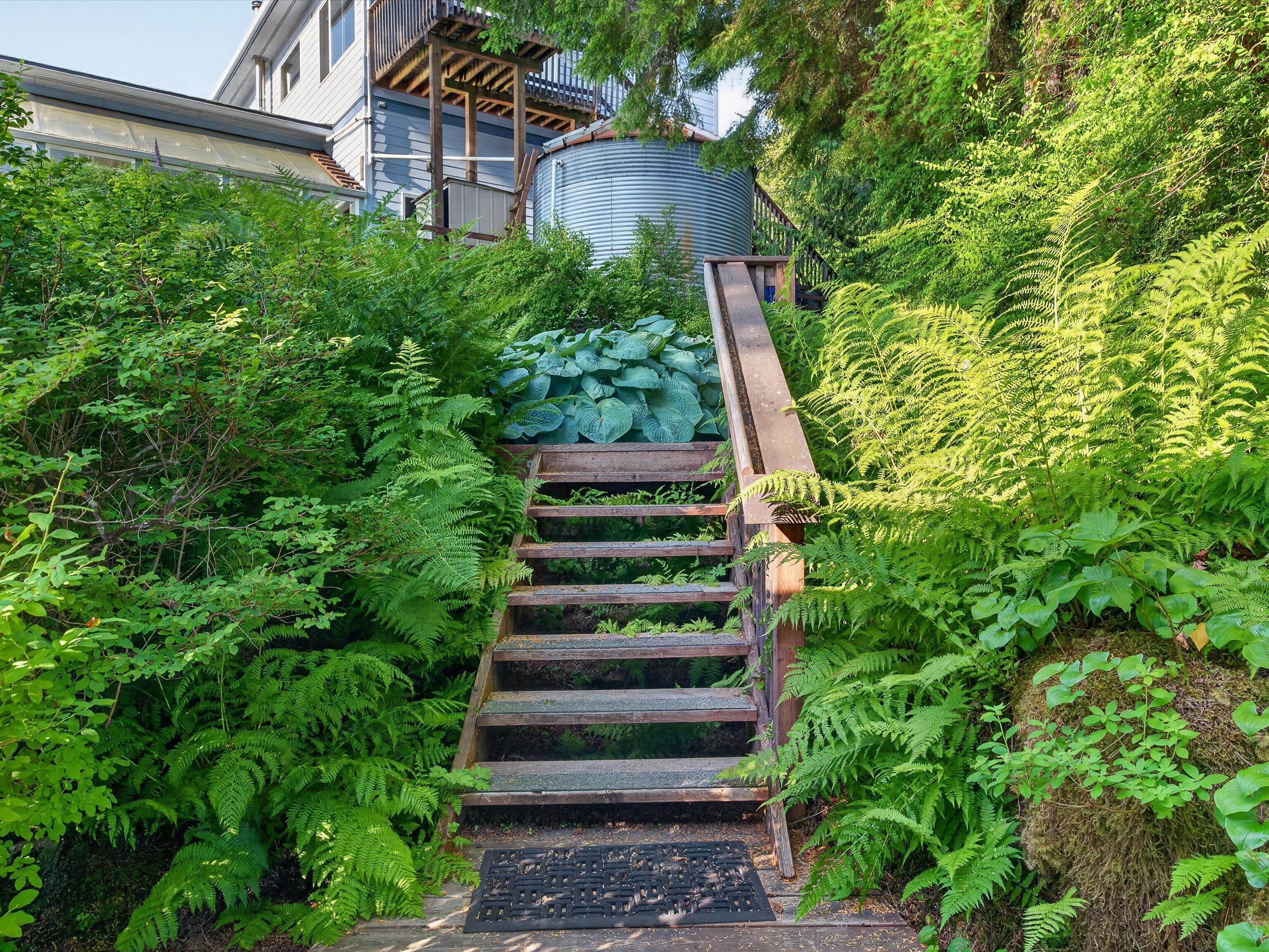 A wooden staircase surrounded by dense green foliage leading to a building with a water tank on the roof.