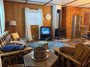 TV, video games, books, video library