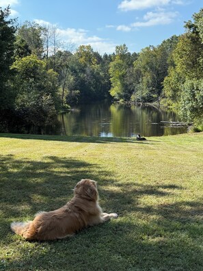 Parco della struttura