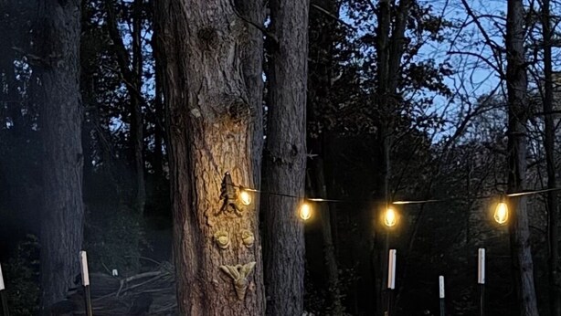 Une table à plateau de verre avec un foyer au centre, entourée de chaises et d’un grand tronc d’arbre.