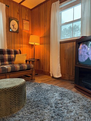 TV, video games, books, video library