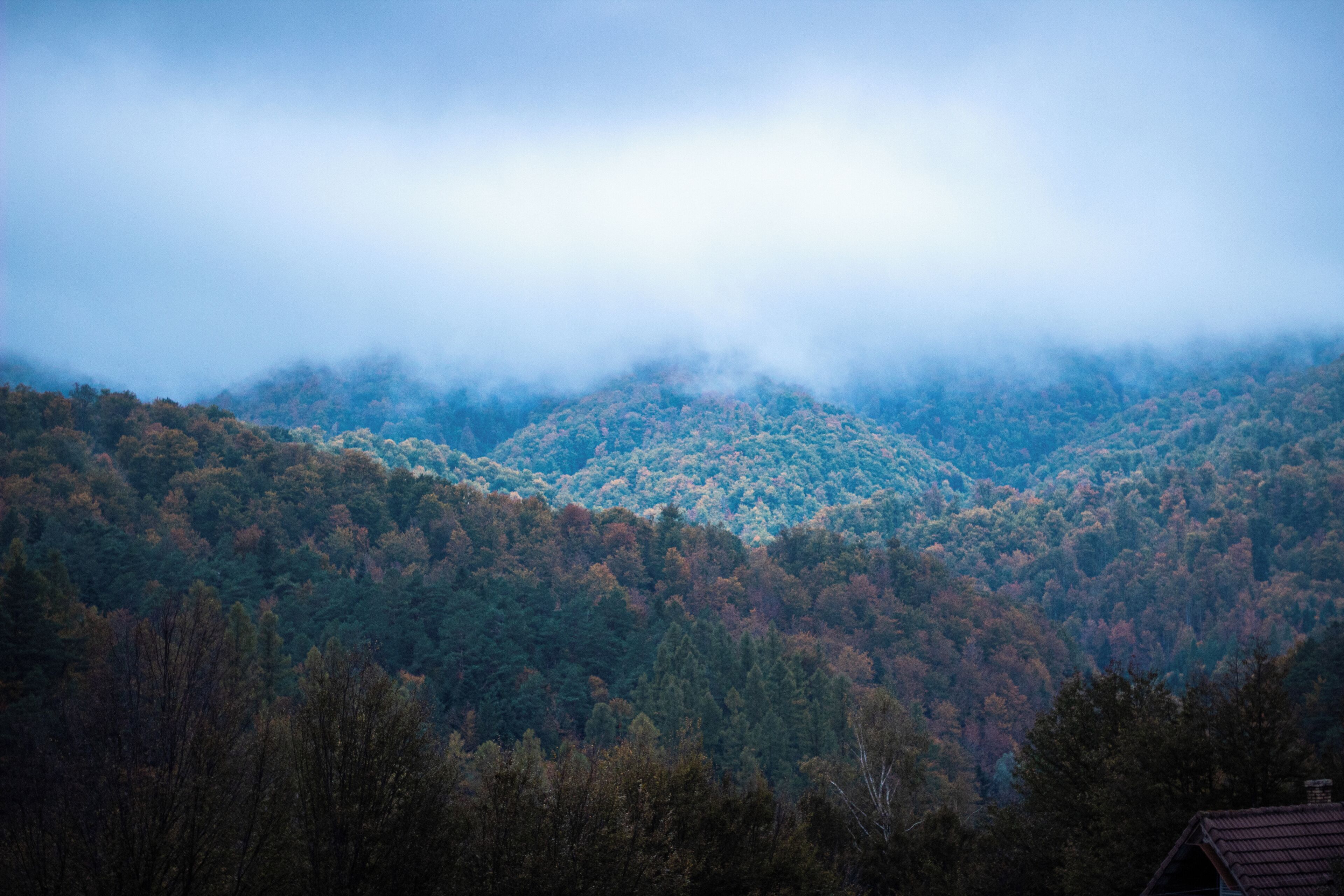 A forested mountain landscape with a house in the foreground.