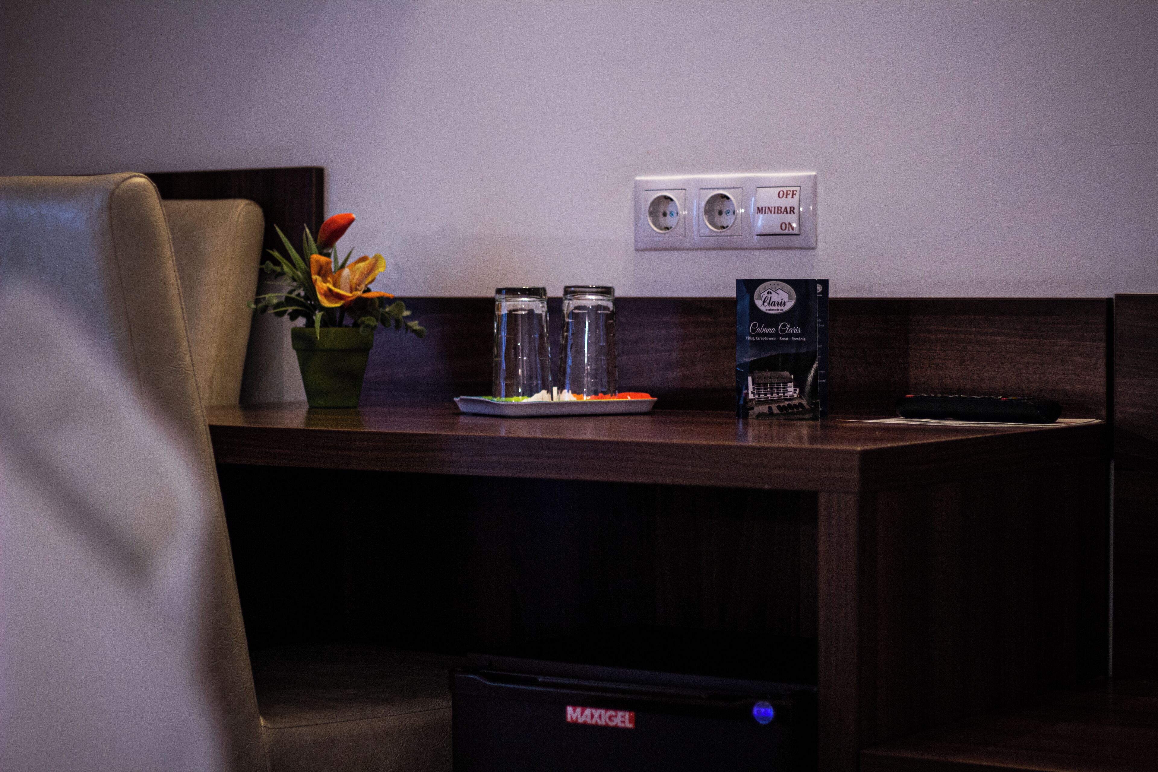 Hotelkamer met een houten bureau, een plant in pot, twee zout- en pepervaatjes, een afstandsbediening en een minibar-bordje.