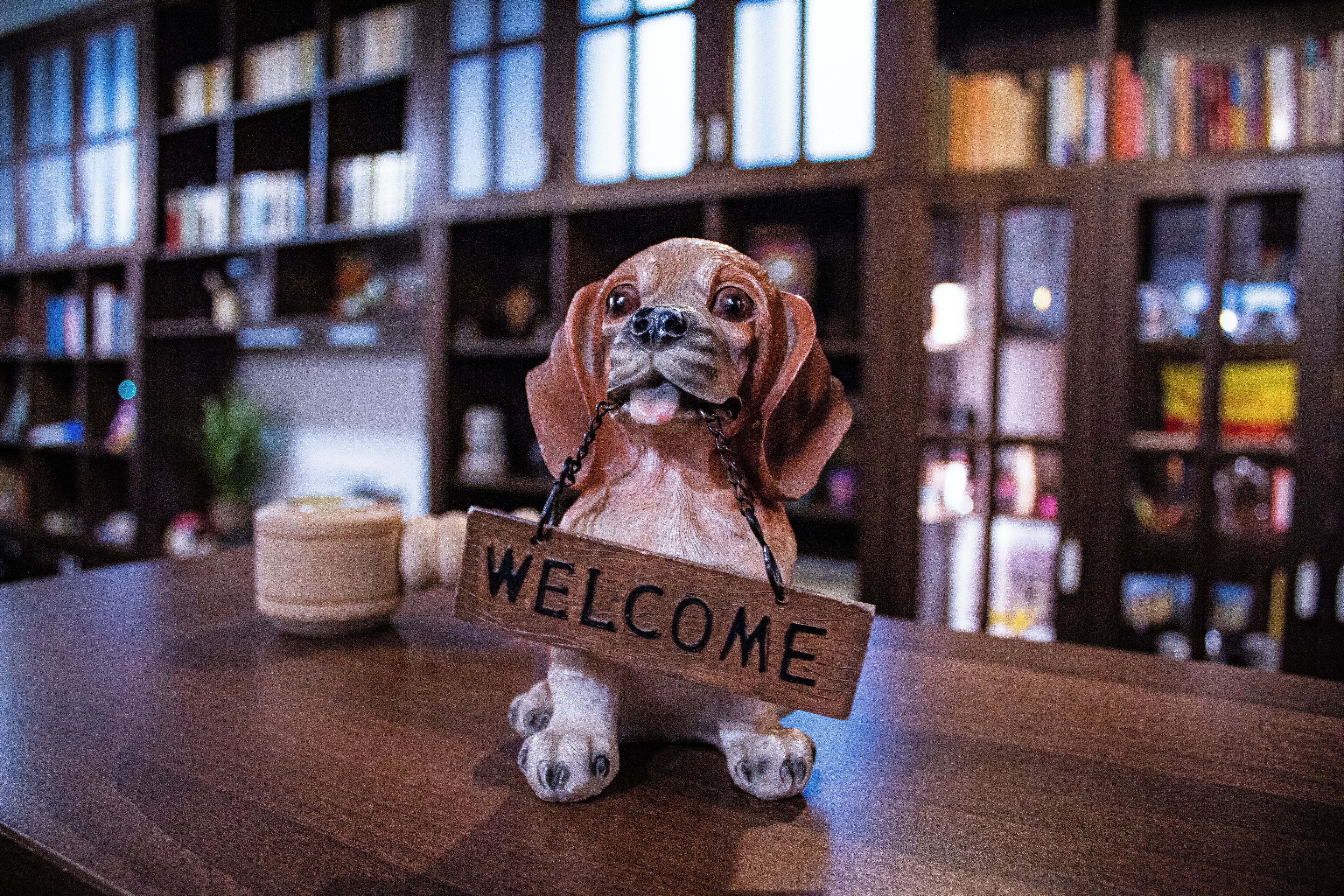 A dog figurine holding a 'WELCOME' sign on a wooden table in a room with bookshelves in the background.