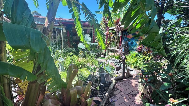 Un sendero en un jardín con diversas plantas y un edificio al fondo.