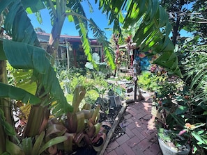 Property grounds - Tropical tranquility 3BR, pvte
Comfy home close trans,ferry,gym,walk/cycle track (Victoria Point)
