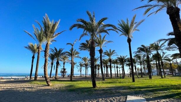 A beach with palm trees and a clear blue sky. - Carihuela Beach studio, 2nd line of the beach (Torremolinos)