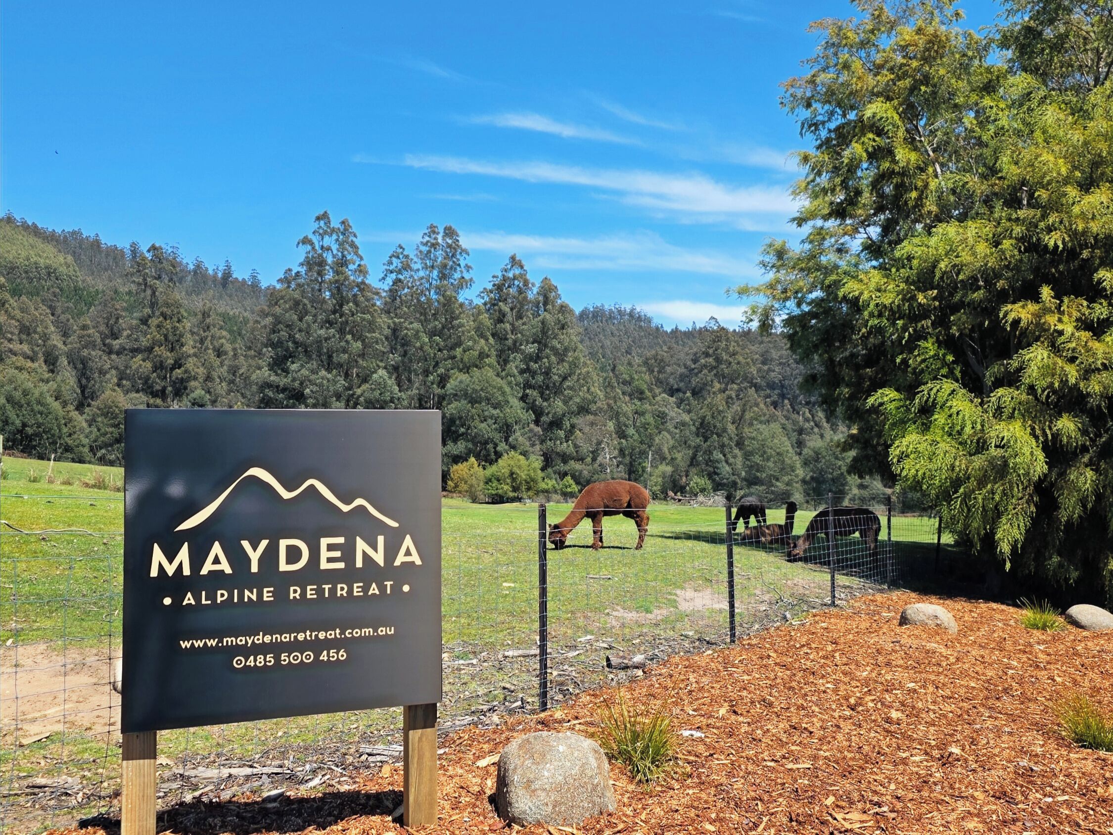 Áreas de la propiedad