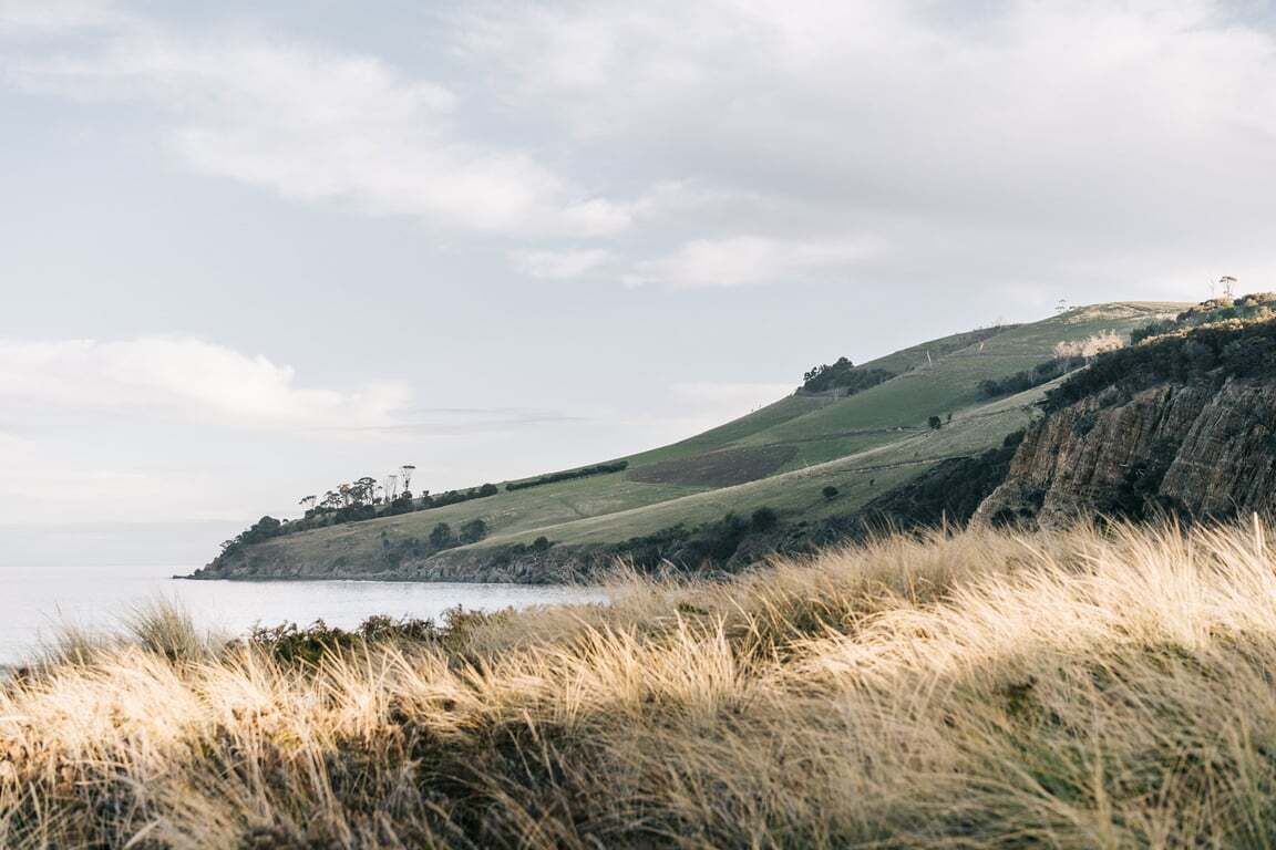 A coastal landscape with grassy hills and a body of water.