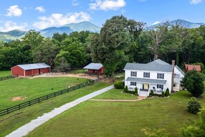 Exterior - Baby Donkey + Baby Goats + Amazing Farm Stay (Bedford)