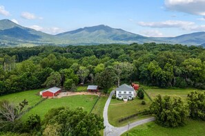 Exterior - Baby Donkey + Baby Goats + Farm Stay + Parkway (Bedford)