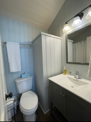 Bathroom - Cute Tiny Barn Studio 3 Miles to LU (Lynchburg)