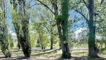 Un parque con árboles y un cuerpo de agua.