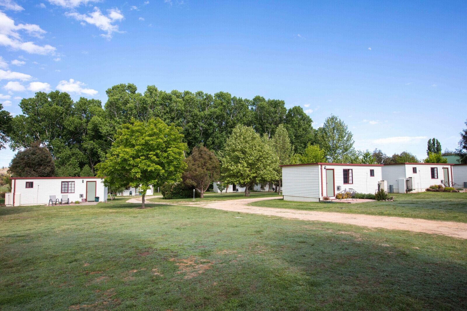 A row of single-story mobile homes with a grassy yard and trees in the background.