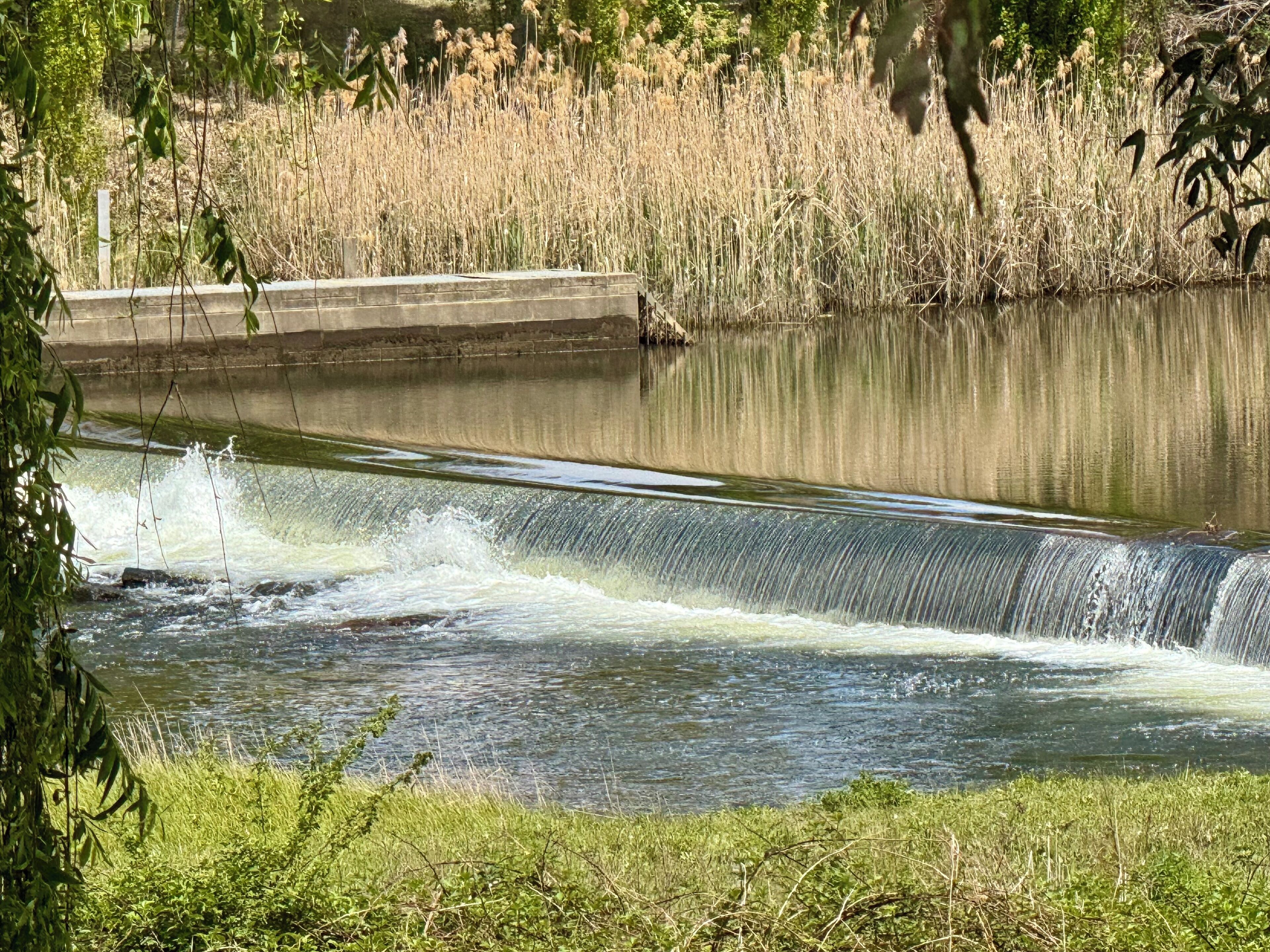 A concrete water spillway with water flowing over it, surrounded by grassy areas and trees.