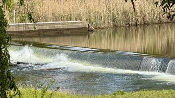 A concrete water spillway with water flowing over it, surrounded by grassy areas and trees.