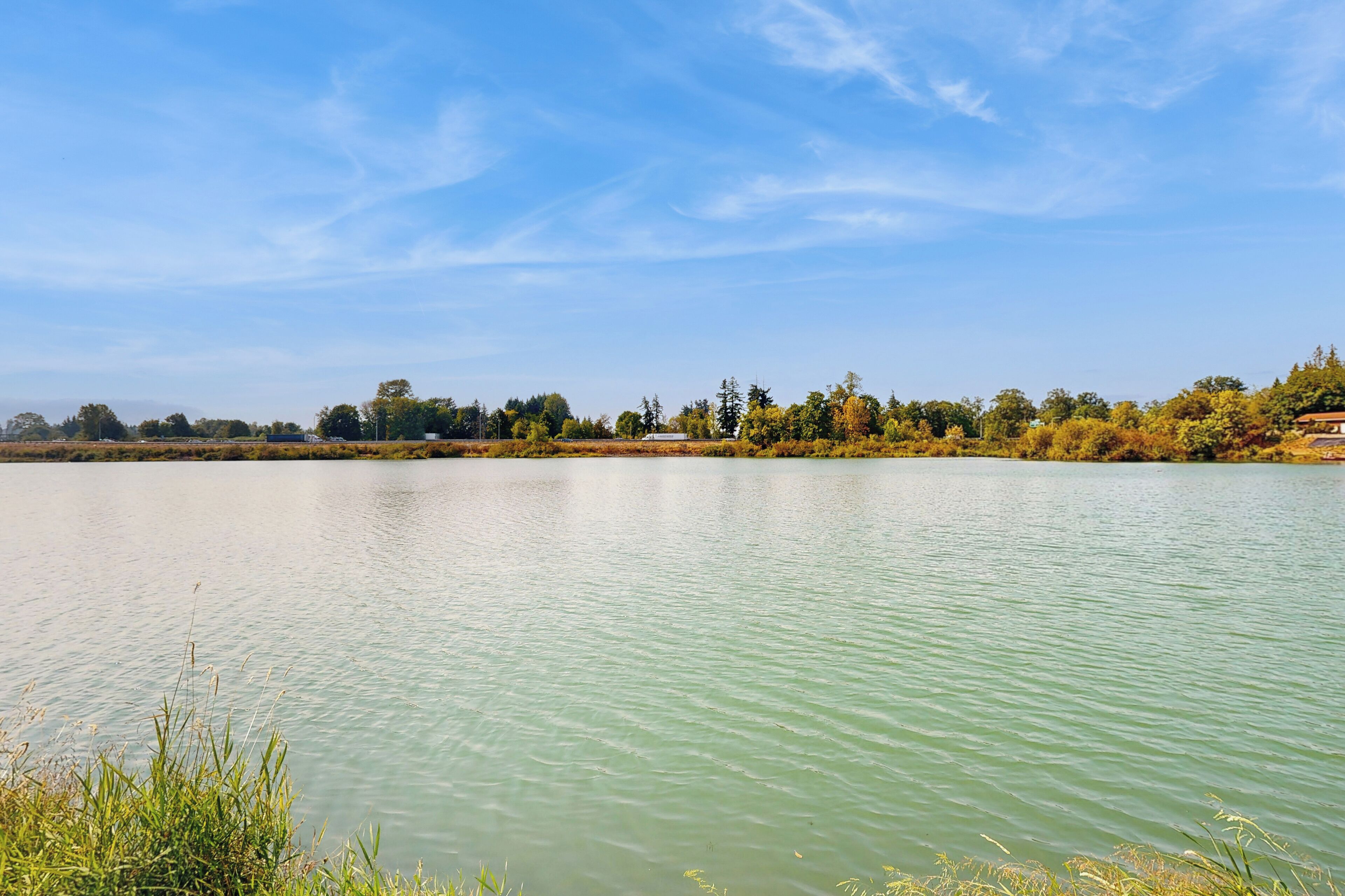 Un lago tranquilo con cielo despejado y árboles al fondo.