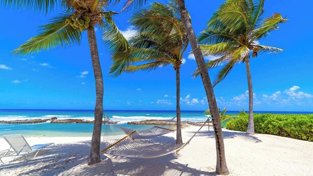 Ein Strand mit Palmen, einer Hängematte und einem Stuhl.