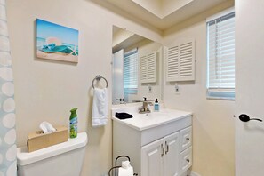 A bathroom with a toilet, sink, and mirror. There is a towel rack with a towel and a bottle of hand soap. A picture hangs on the wall above the toilet. - Golf Cart & Heated Pool: Rotonda West Getaway! (Rotonda West)