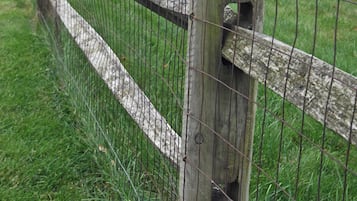 A wooden fence with a wire mesh, set in a grassy area with trees in the background.