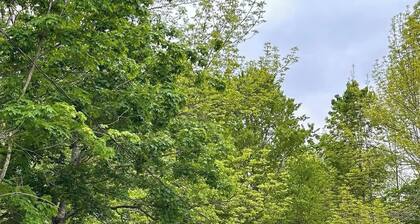 Romantic Tiny Cottage w/ Hot Tub & Fire Pit – Sunrise Cottage #1