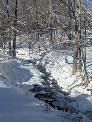 Une forêt enneigée traversée par un ruisseau.