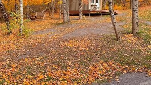 Eine rustikale Holzhütte mit einer Holzterrasse, umgeben von Bäumen im Herbstlaub.