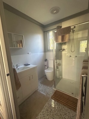Hair dryer, towels, soap, toilet paper