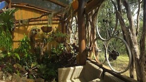 A greenhouse with a wooden structure, various plants, and a bicycle wheel. - Quiet Rural Retreat - Kimbriki (Mount George)