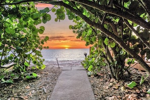 Un sentier menant à une plage offrant une vue imprenable sur le coucher de soleil, le tout entouré d’une végétation luxuriante.