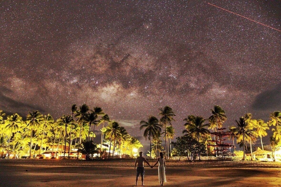 A beach at night with palm trees and a starry sky.