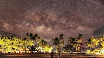 A beach at night with palm trees and a starry sky.