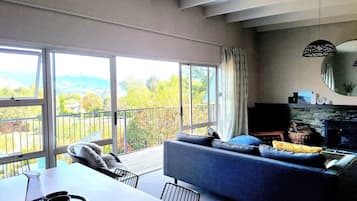 TV, fireplace, books