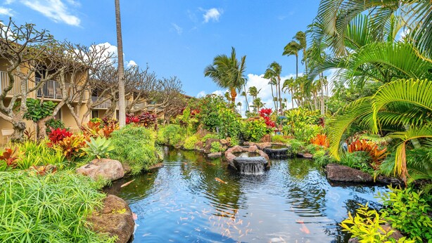 A tropical garden with a pond, palm trees, and a building with balconies. - Studio Relaxing Garden View Retreat Near Napili Bay & Ocean-Napili Shores D230 (Lahaina)